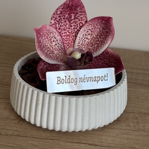   Boldogságszirom névnapra, Otthon & Életmód, Virágdekoráció, Virágdíszek, Asztali virágdísz, , MESKA