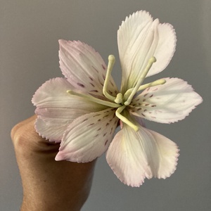 Inkaliliom tortadísz, DIY (Csináld magad), Egységcsomag, Gyurma, MESKA