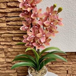 2 ágas, real touch csónak orchidea kerámia kaspóban-rózsaszín - Meska.hu