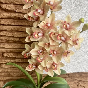 2 ágas, real touch csónak orchidea kerámia kaspóban-halvány sárga - otthon & életmód - dekoráció - virágdísz és tartó - csokor & virágdísz - Meska.hu