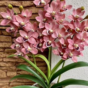 3 ágas csónak orchidea kerámia kaspóba-rózsaszín - otthon & életmód - dekoráció - virágdísz és tartó - csokor & virágdísz - Meska.hu