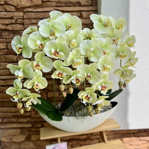 XXL Real touch orchidea műanyag  csónak kaspóba-zöld, Otthon & Lakás, Dekoráció, Virágdísz és tartó, Csokor & Virágdísz, , MESKA