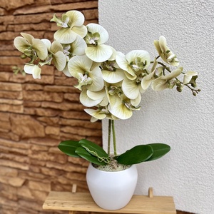 Real touch orchidea kerámia kaspóba-halvány zöld, Otthon & Életmód, Dekoráció, Virágdísz és tartó, Csokor & Virágdísz, , MESKA