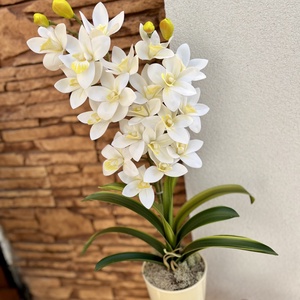 2 ágas, real touch csónak orchidea kerámia kaspóban-fehér - otthon & életmód - dekoráció - virágdísz és tartó - csokor & virágdísz - Meska.hu