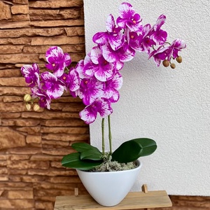 Prémium real touch orchidea kerámia csónak kaspóba-foltos magenta, Otthon & Életmód, Dekoráció, Virágdísz és tartó, Csokor & Virágdísz, , MESKA