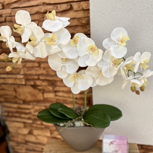 Prémium real touch orchidea kerámia csónak kaspóba-fehér - Meska.hu