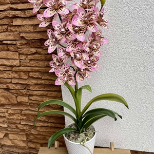 2 ágas, real touch csónak orchidea kerámia kaspóban-pöttyös - otthon & életmód - dekoráció - virágdísz és tartó - csokor & virágdísz - Meska.hu