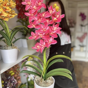 2 ágas, real touch csónak orchidea kerámia kaspóban-pink, Otthon & Életmód, Dekoráció, Virágdísz és tartó, Csokor & Virágdísz, , MESKA