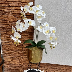 Real touch EXTRA prémium orchidea magasított kaspóban - Meska.hu