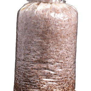 Süngomba termőblokk - diy (csináld magad) - egységcsomag - Meska.hu
