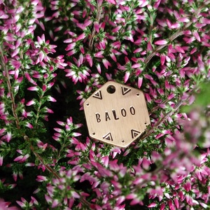 HEX MINI � Kézzel kalapált sárgaréz kutyabiléta (25 � 21 mm) - otthon & életmód - kisállatoknak - kutyáknak - kutya biléta - Meska.hu