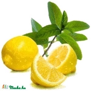 CITRUS-ALOE Aluminium mentes Golyós Dezodor teafával -  - Meska.hu