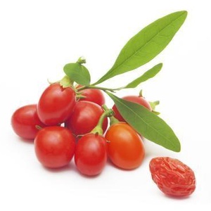 Anti Age - Goji éjszakai krém Kollagénnel -  - Meska.hu