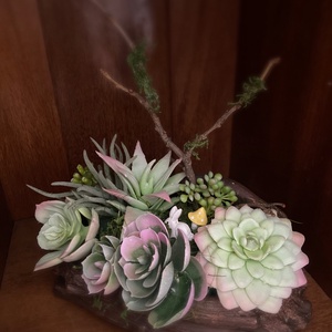 Minikert pozsgásokból - otthon & életmód - dekoráció - asztal és polc dekoráció - dekorációs tál, tartó - Meska.hu