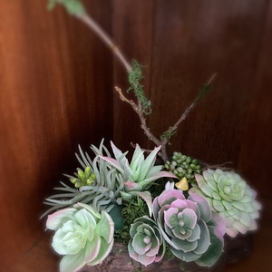 Minikert pozsgásokból - otthon & életmód - dekoráció - asztal és polc dekoráció - dekorációs tál, tartó - Meska.hu