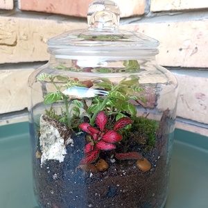 Csodaszép lezárt florárium - Meska.hu