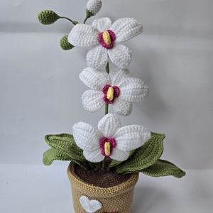 Horgolt orchidea, Otthon & Életmód, Dekoráció, Virágdísz és tartó, Cserép & Kaspó, Horgolás, MESKA
