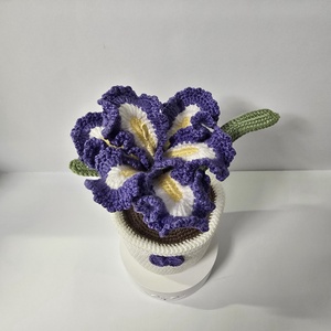 Horgolt kaspós Írisz virág, Otthon & Életmód, Virágdekoráció, Virágdíszek, Asztali virágdísz, Horgolás, MESKA