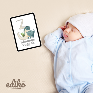 Digitális babakártyák  24 nyomtatható dinós mérföldkő kártya  - művészet - grafika & illusztráció - digitális - Meska.hu