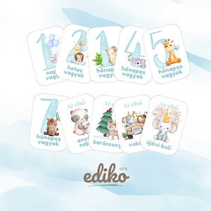 Digitális babakártyák � 24 nyomtatható mérföldkő kártya (Kisfiú) - baba - mama - babafotózás - baba mérföldkő kártyák - Meska.hu