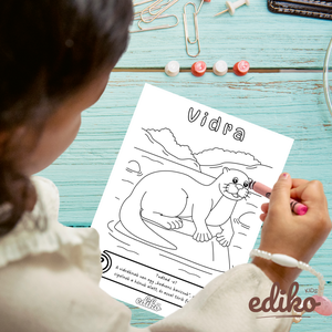 Erdei Állatok Tanító Színező (nyomtatható / digitális PDF)  - otthon & életmód - papír, írószer - színező - Meska.hu