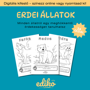 Erdei Állatok Tanító Színező (nyomtatható / digitális PDF)  - Meska.hu