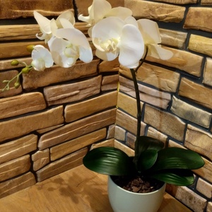 Örök orchidea , Otthon & Lakás, Dekoráció, Virágdísz és tartó, Csokor & Virágdísz, Mindenmás, MESKA