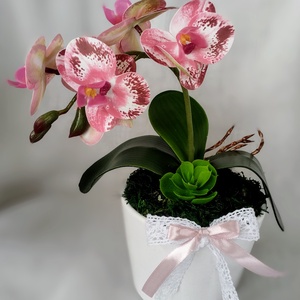 Mini rózsaszín örök orchidea , Otthon & Életmód, Dekoráció, Asztal és polc dekoráció, Asztaldísz, Mindenmás, Virágkötés, MESKA