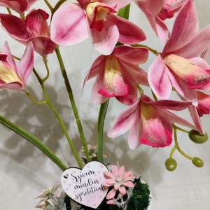 Gondozásmentes rózsaszín örök orchidea - otthon & életmód - dekoráció - asztal és polc dekoráció - asztaldísz - Meska.hu