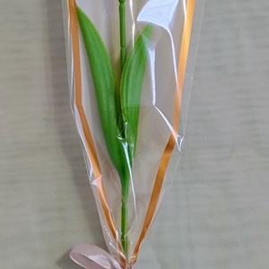 Nőnapi csomagolt élethű tulipán - otthon & életmód - dekoráció - asztal és polc dekoráció - asztaldísz - Meska.hu