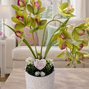 Gondozásmentes zöld örök orchidea, Otthon & Életmód, Dekoráció, Asztal és polc dekoráció, Asztaldísz, Mindenmás, Virágkötés, MESKA