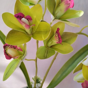 Gondozásmentes zöld örök orchidea - otthon & életmód - dekoráció - asztal és polc dekoráció - asztaldísz - Meska.hu