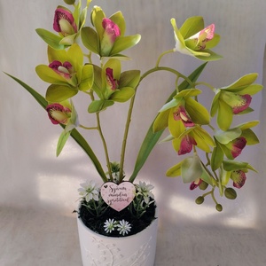 Gondozásmentes zöld örök orchidea - otthon & életmód - dekoráció - asztal és polc dekoráció - asztaldísz - Meska.hu