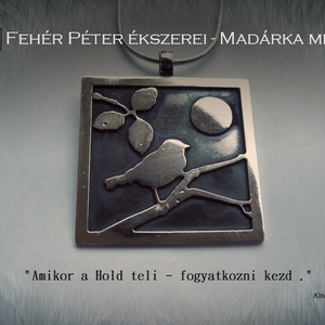 Ezüst Madárka medál antilkolt háttérrel - ékszer - nyaklánc - medál - Meska.hu