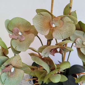 Orchidea kaspóban - vintage zöld - otthon & életmód - dekoráció - virágdísz és tartó - csokor & virágdísz - Meska.hu