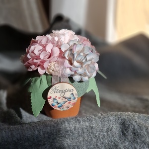 Cserepes Hortenzia-mini, Otthon & Életmód, Dekoráció, Asztal és polc dekoráció, Asztaldísz, Mindenmás, MESKA