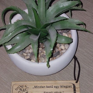 Mindedn betű bambusz könyvjelző, Könyv & Zene, Könyvjelző, Gravírozás, pirográfia, MESKA