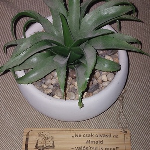 Ne csak olvasd bambusz könyvjelző, Könyv & Zene, Könyvjelző, Gravírozás, pirográfia, MESKA
