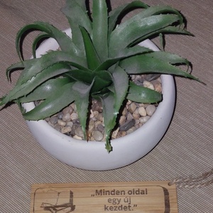 Minden oldal bambusz könyvjelző, Könyv & Zene, Könyvjelző, Gravírozás, pirográfia, MESKA