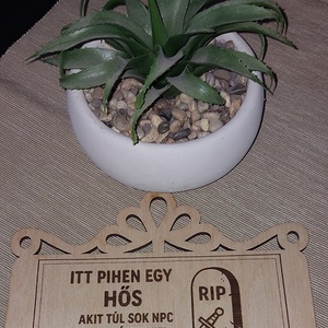 Itt pihen..ajtó tábla - Meska.hu