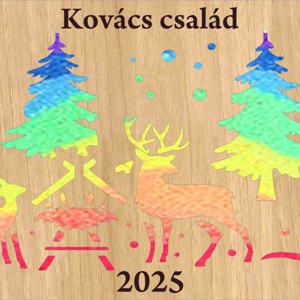 Karácsonyi szarvas mintás , homokceremónia - esküvő - nászajándék - Meska.hu