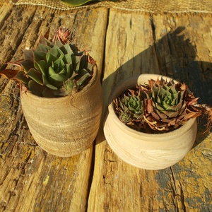 Terrakotta kaspók - otthon & életmód - ház & kert - növény & veteményes - Meska.hu