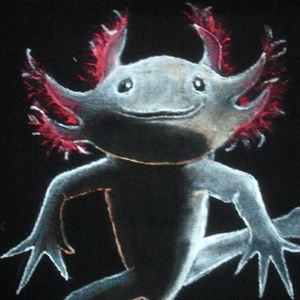 póló/axolotl, a kedvenc:) -  - Meska.hu