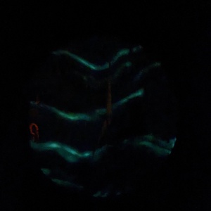 30cm -es Kisherceg ihlette epoxy falióra � egyedi kézműves falióra gyerekszobába - baba - mama - babaszoba dekoráció - gyerekszoba falmatrica - Meska.hu