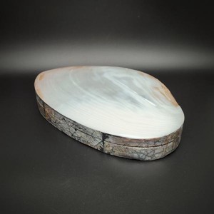 Pávakagyló ékszertartó doboz krém színben prémium ékszertartó 23 cm - Meska.hu