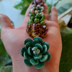 Szukkulens szett - otthon & életmód - dekoráció - dísztárgy - Meska.hu