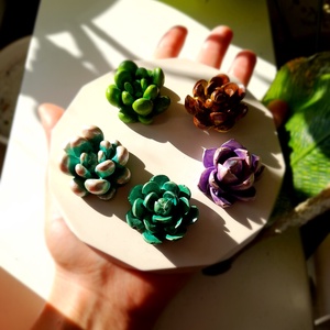 Szukkulens szett - otthon & életmód - dekoráció - dísztárgy - Meska.hu