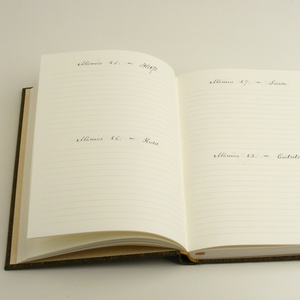 Határidőnapló 2019-re, napló, 2019-es naptár, csillogó óarany, áttört borítóval -  - Meska.hu