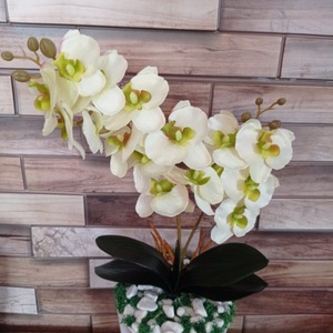 Orchidea fehér kaspóban asztaldísz tavaszi dekoráció műnövény selyemvirág - krém/zöld - otthon & életmód - dekoráció - virágdísz és tartó - csokor & virágdísz - Meska.hu