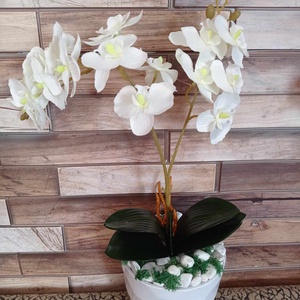 Fehér orchidea selyemvirág műanyag kaspóban asztaldísz tavaszi dekoráció műnövény, Otthon & Lakás, Dekoráció, Virágdísz és tartó, Csokor & Virágdísz, Mindenmás, MESKA